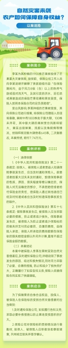 自然災(zāi)害來襲，農(nóng)戶如何保障自身權(quán)益？